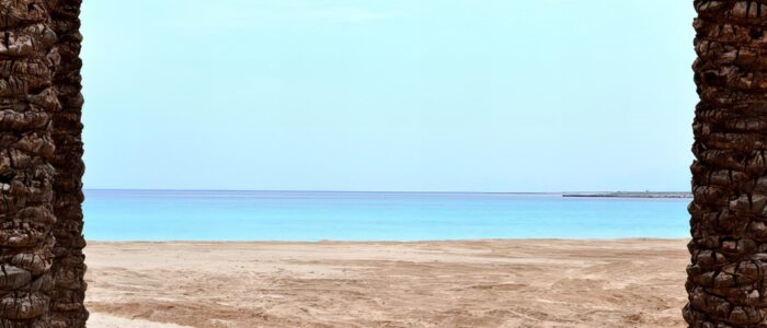 The tranquil beauty of San Vito Lo Capo Beach, with its golden sands embraced by rustic palm trunks, exemplifying the serene essence of Sicilian shorelines.