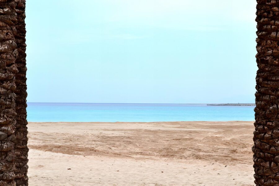 The tranquil beauty of San Vito Lo Capo Beach, with its golden sands embraced by rustic palm trunks, exemplifying the serene essence of Sicilian shorelines.